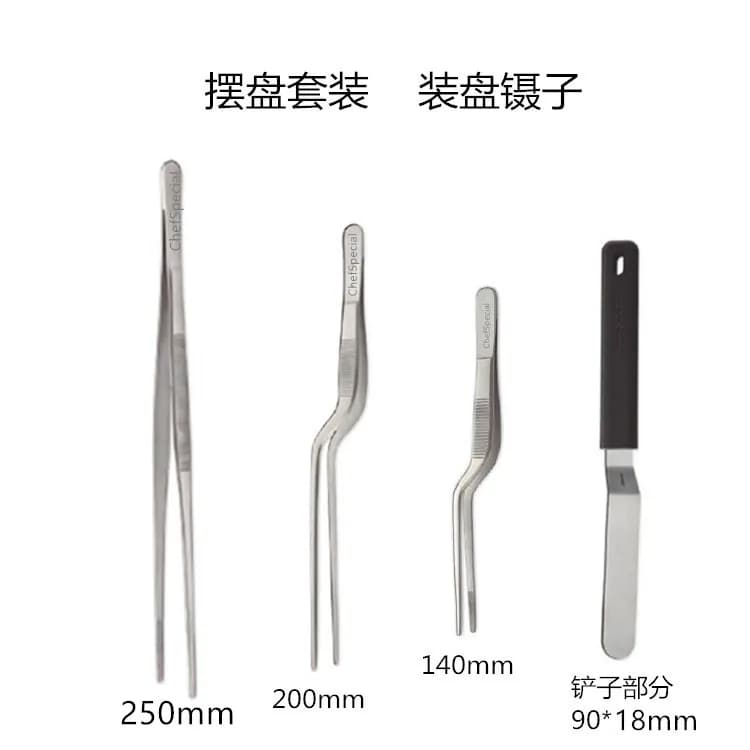 Pinset & Spatula Stainless Steel untuk Plating Molekuler, Alat Chef Masakan Barat